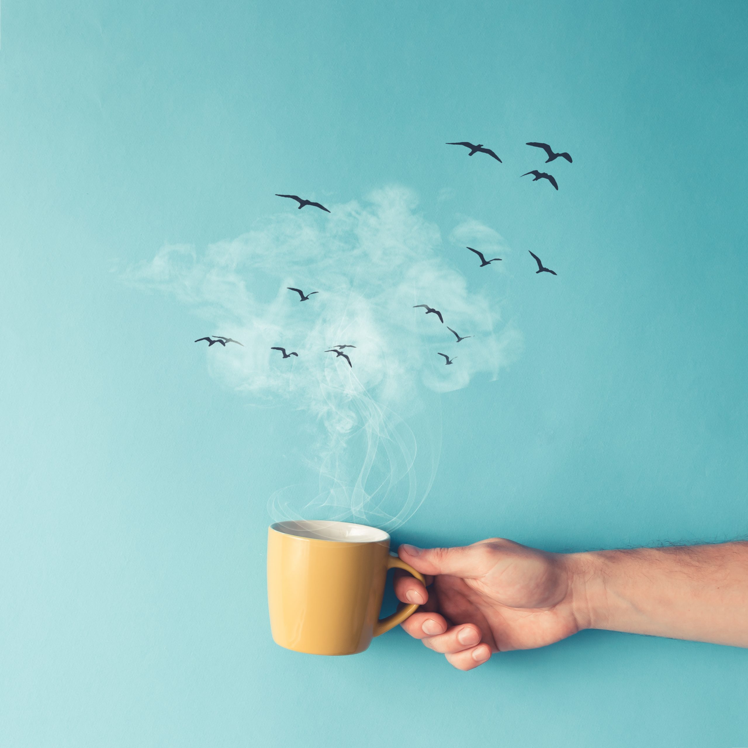 Coffee cup with steam, clouds and birds